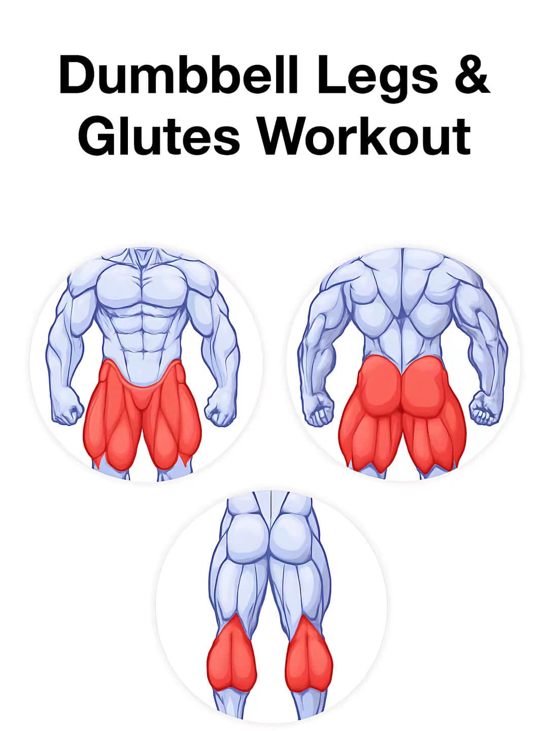 Dumbbell Legs & Glutes Workout