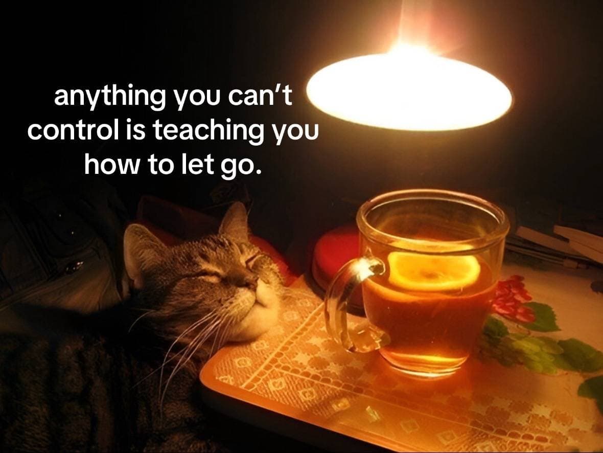 anything you can't
control is teaching you
how to let go.