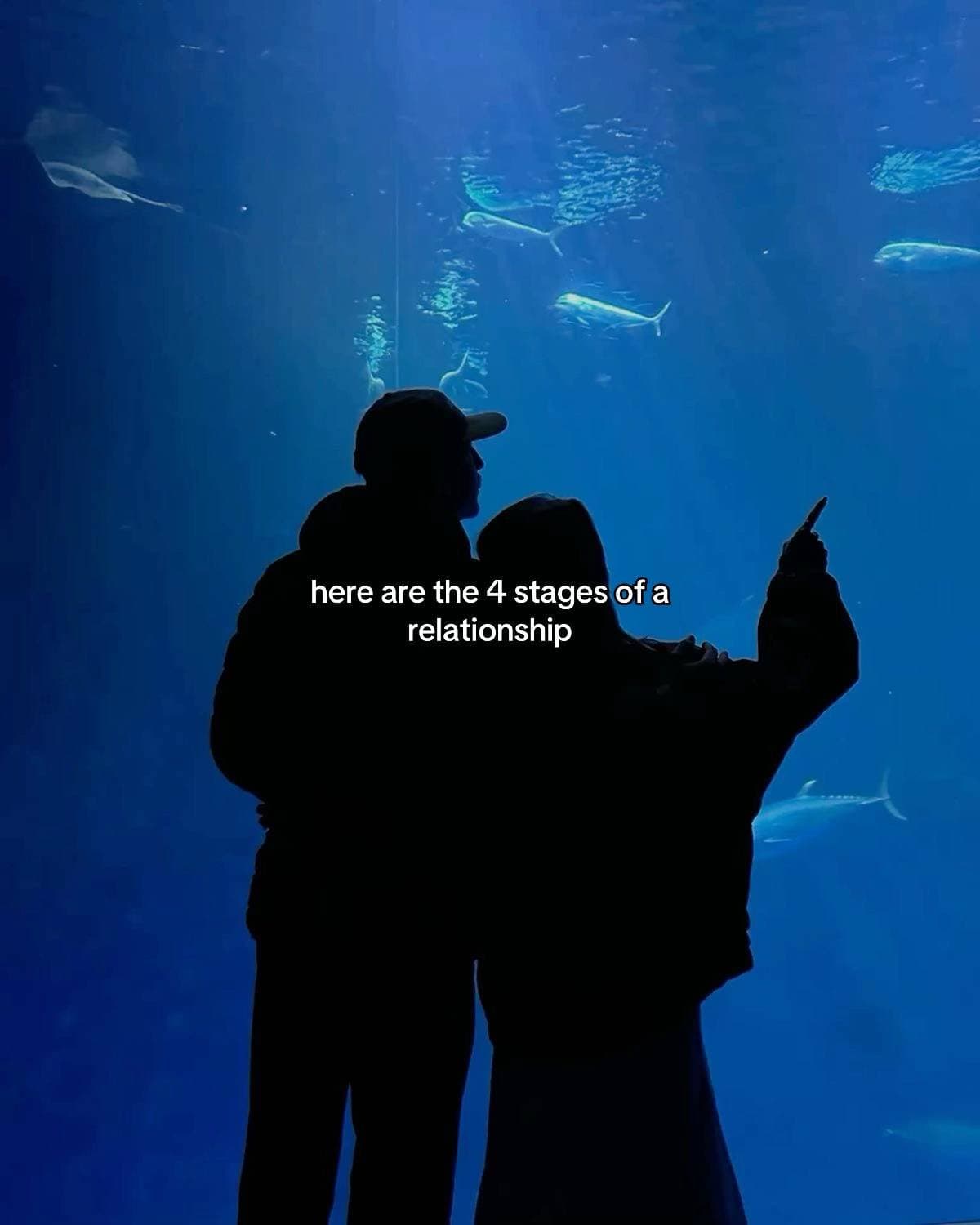 here are the 4 stages of a
relationship