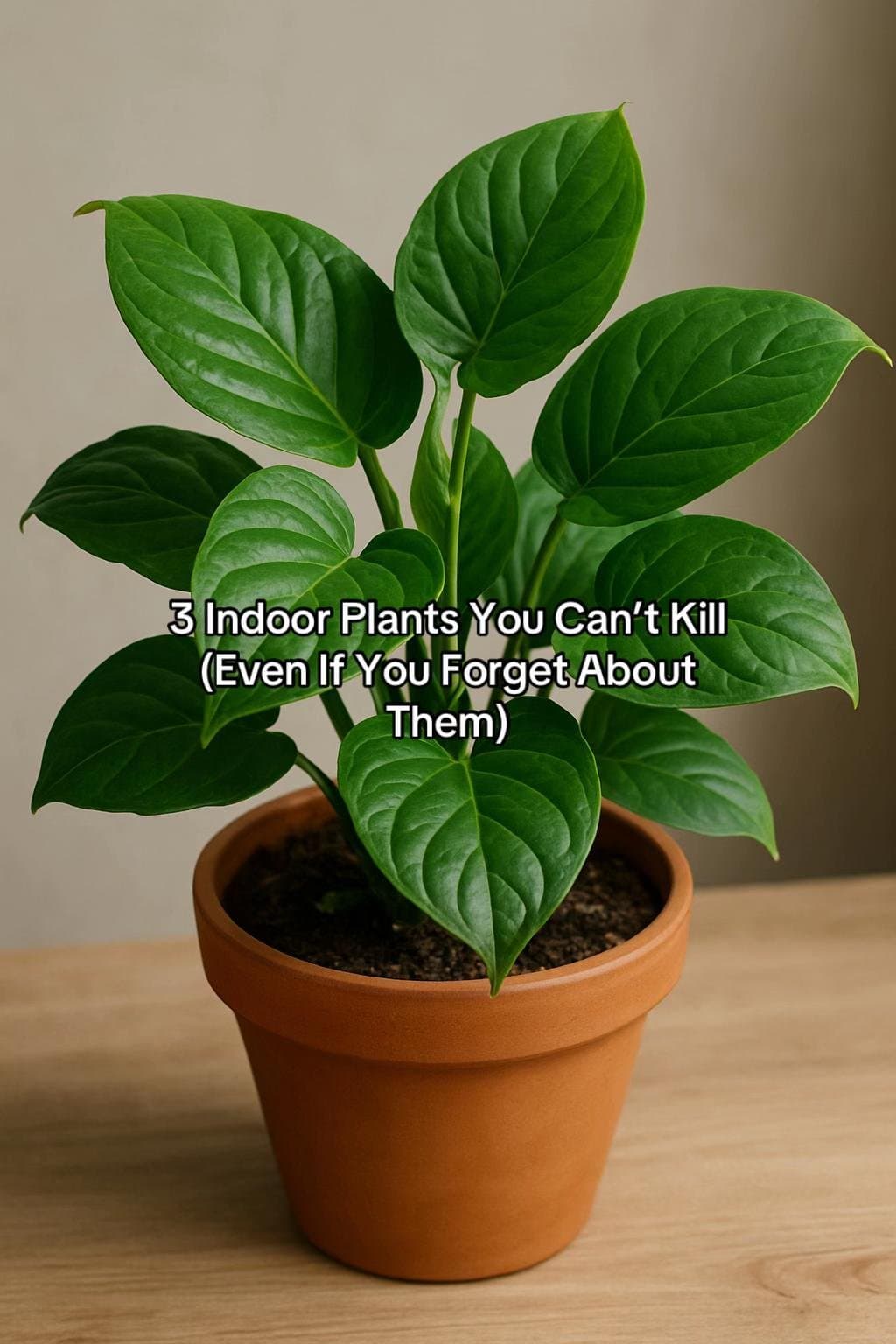 3 Indoor Plants You Can't Kill
(Even If You Forget About Them)