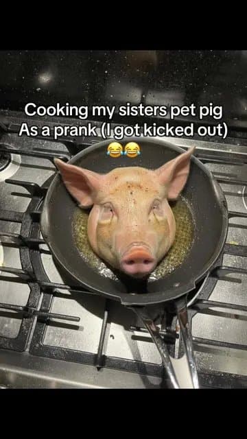 Cooking my sisters pet pig
As a prank (I got kicked out)
😂😂