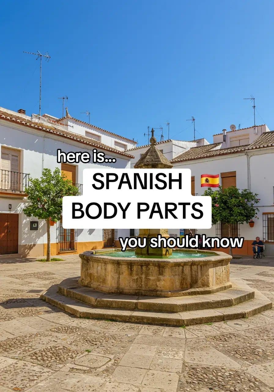here is...

SPANISH 🇪🇸
BODY PARTS
you should know