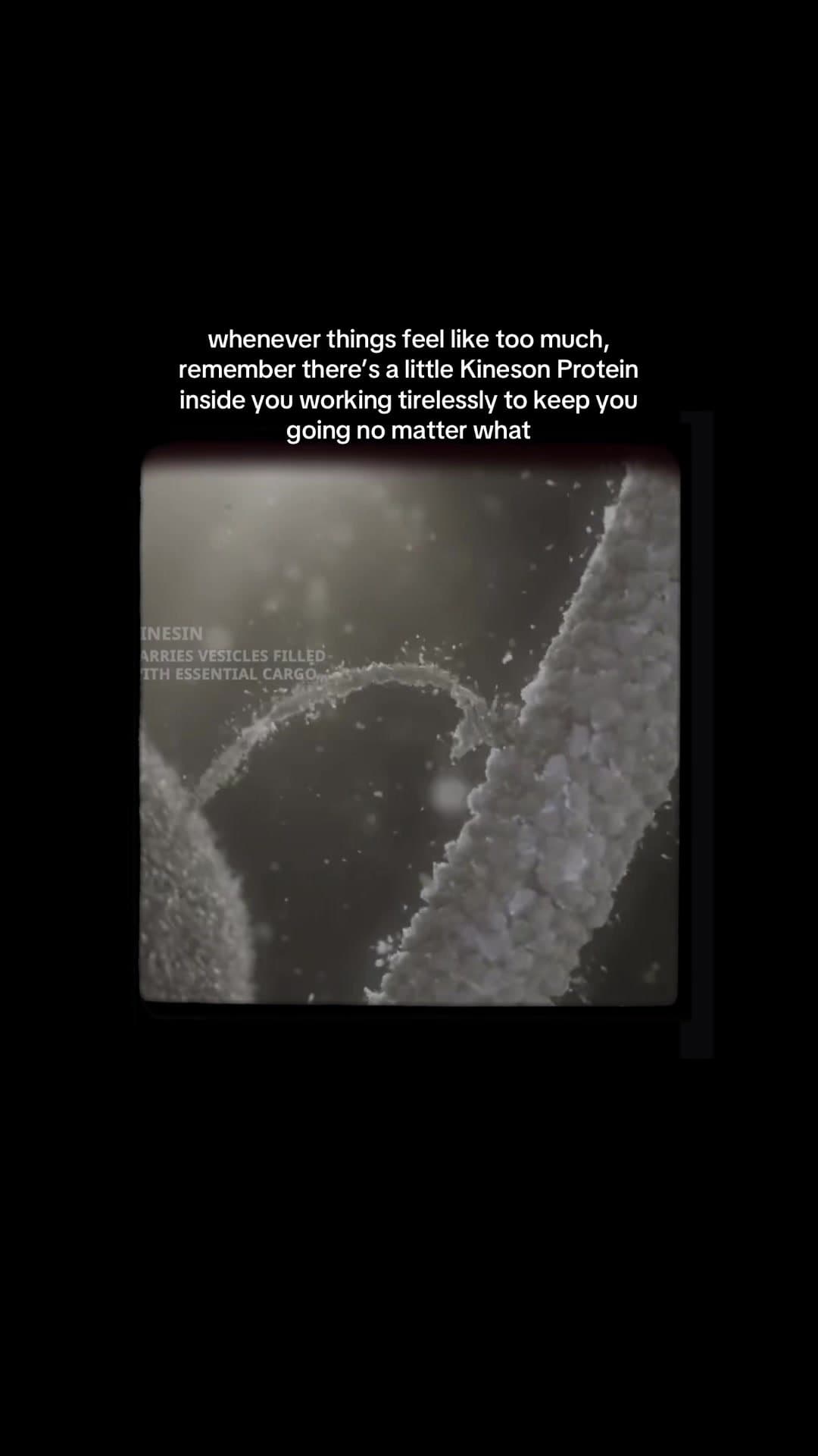 whenever things feel like too much,
remember there's a little Kineson Protein
in…