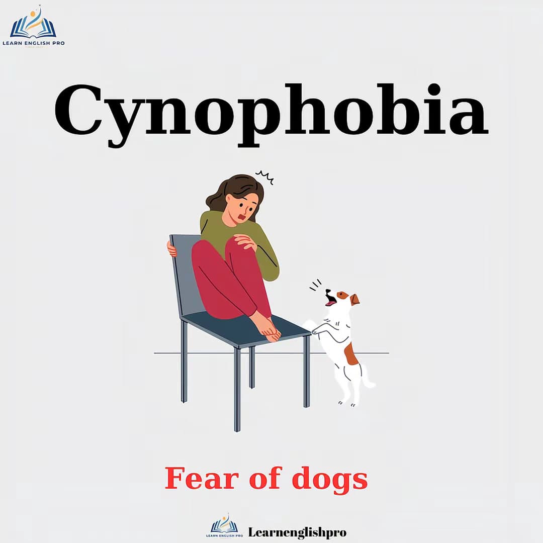 Cynophobia
Fear of dogs