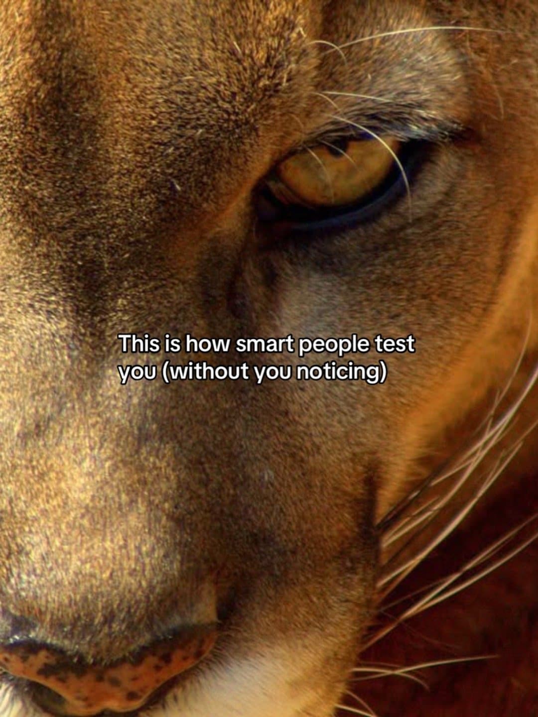 This is how smart people test
you (without you noticing)