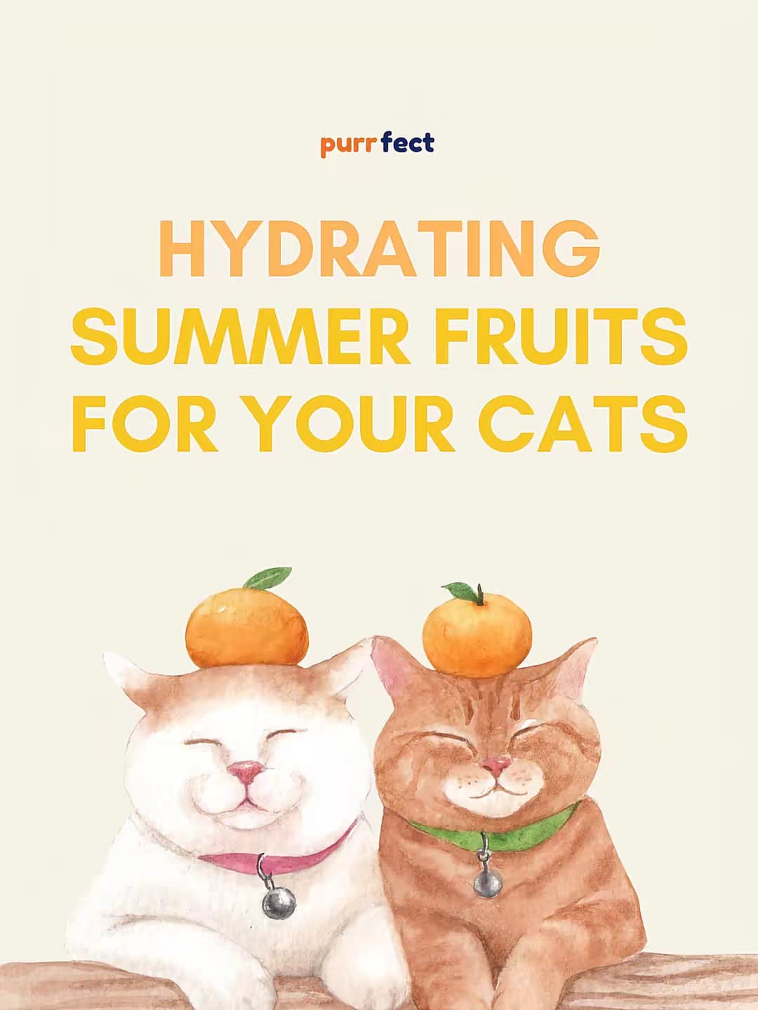 HYDRATING SUMMER FRUITS FOR YOUR CATS