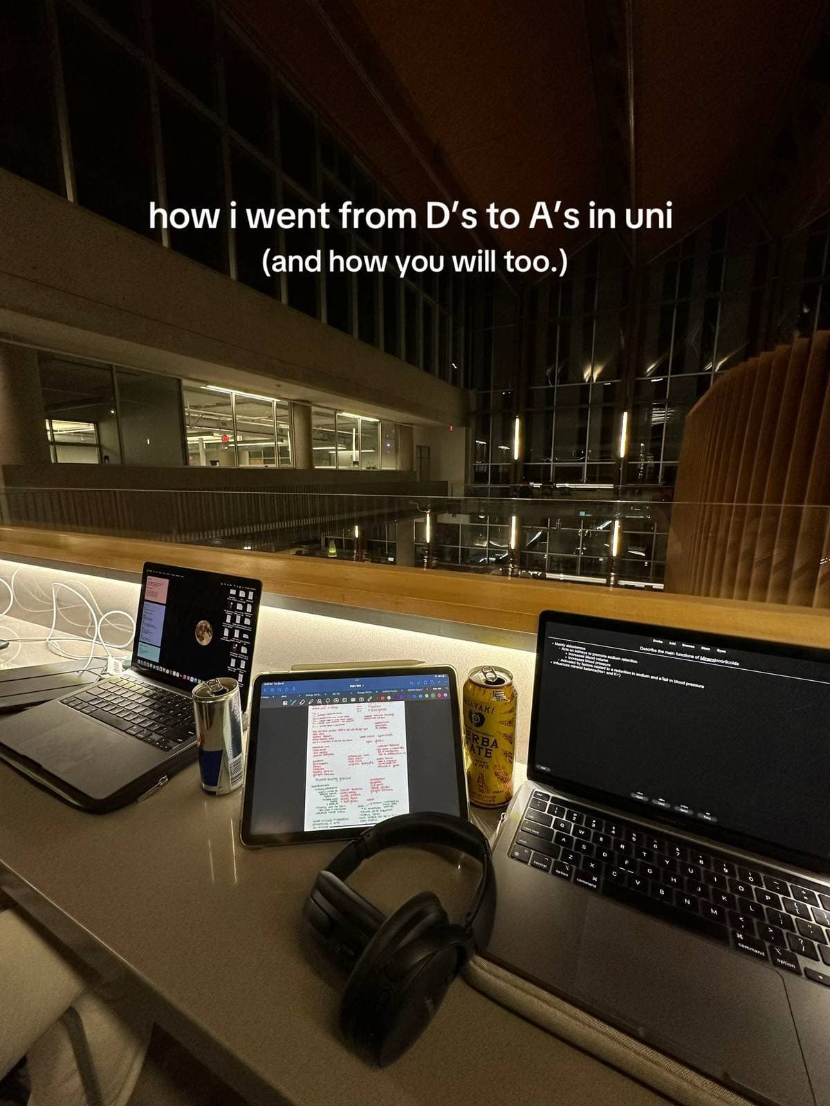 how i went from D's to A's in uni
(and how you will too.)