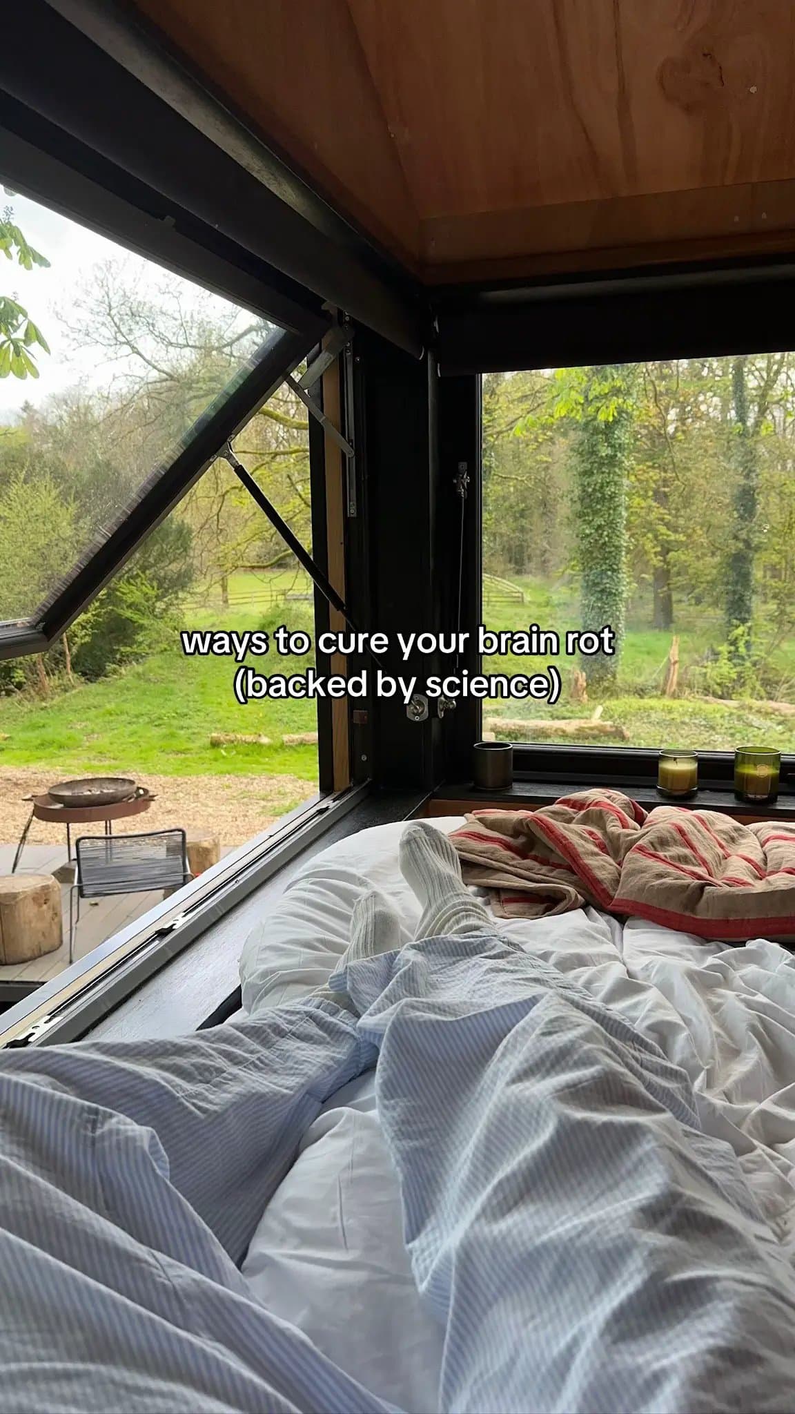 ways to cure your brain rot
(backed by science)