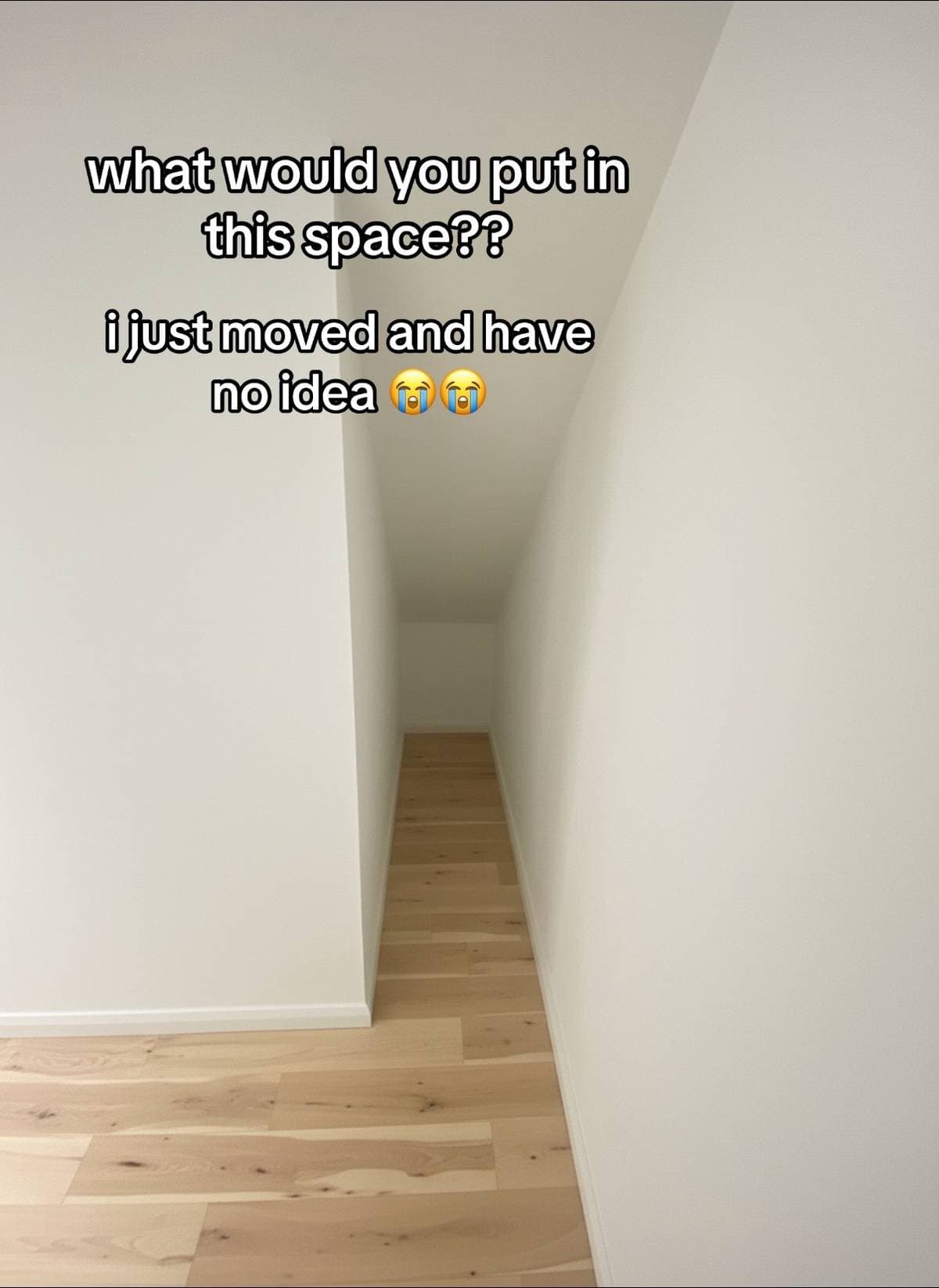 what would you put in
this space??
i just moved and have
no idea 😭😭