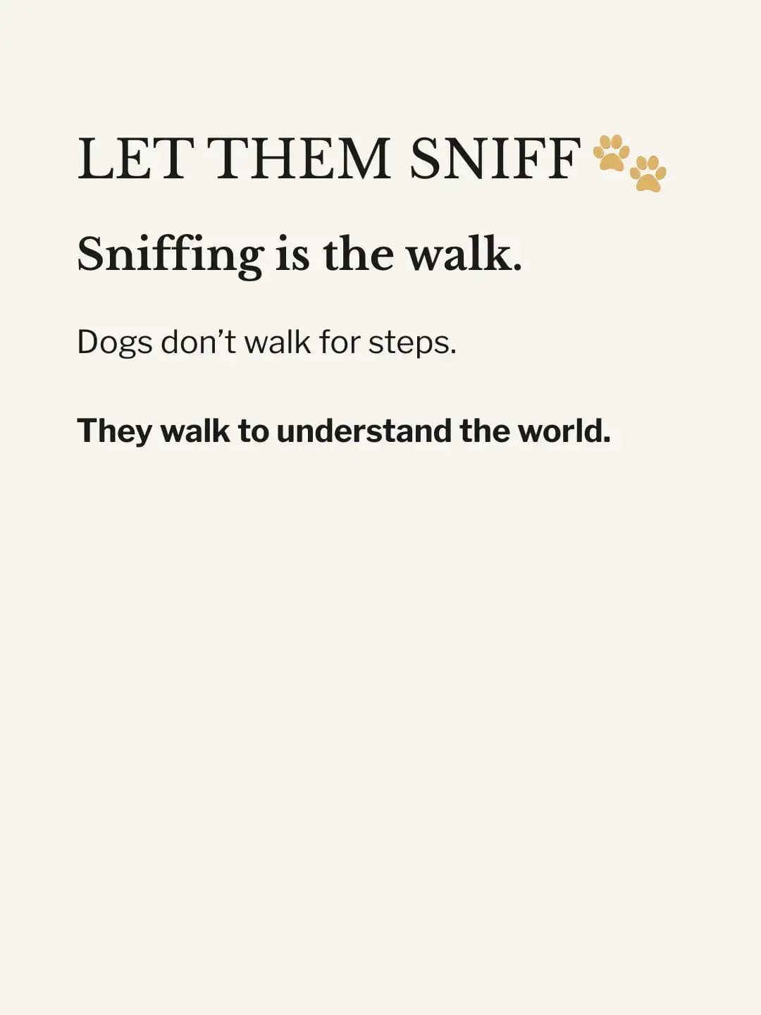 LET THEM SNIFF
Sniffing is the walk.

Dogs don't walk for steps.
They walk to un…