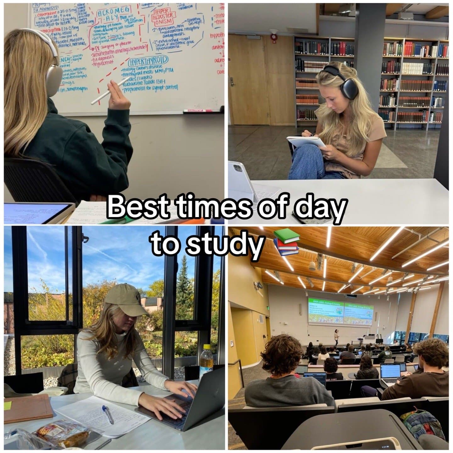 Best times of day to study 📚