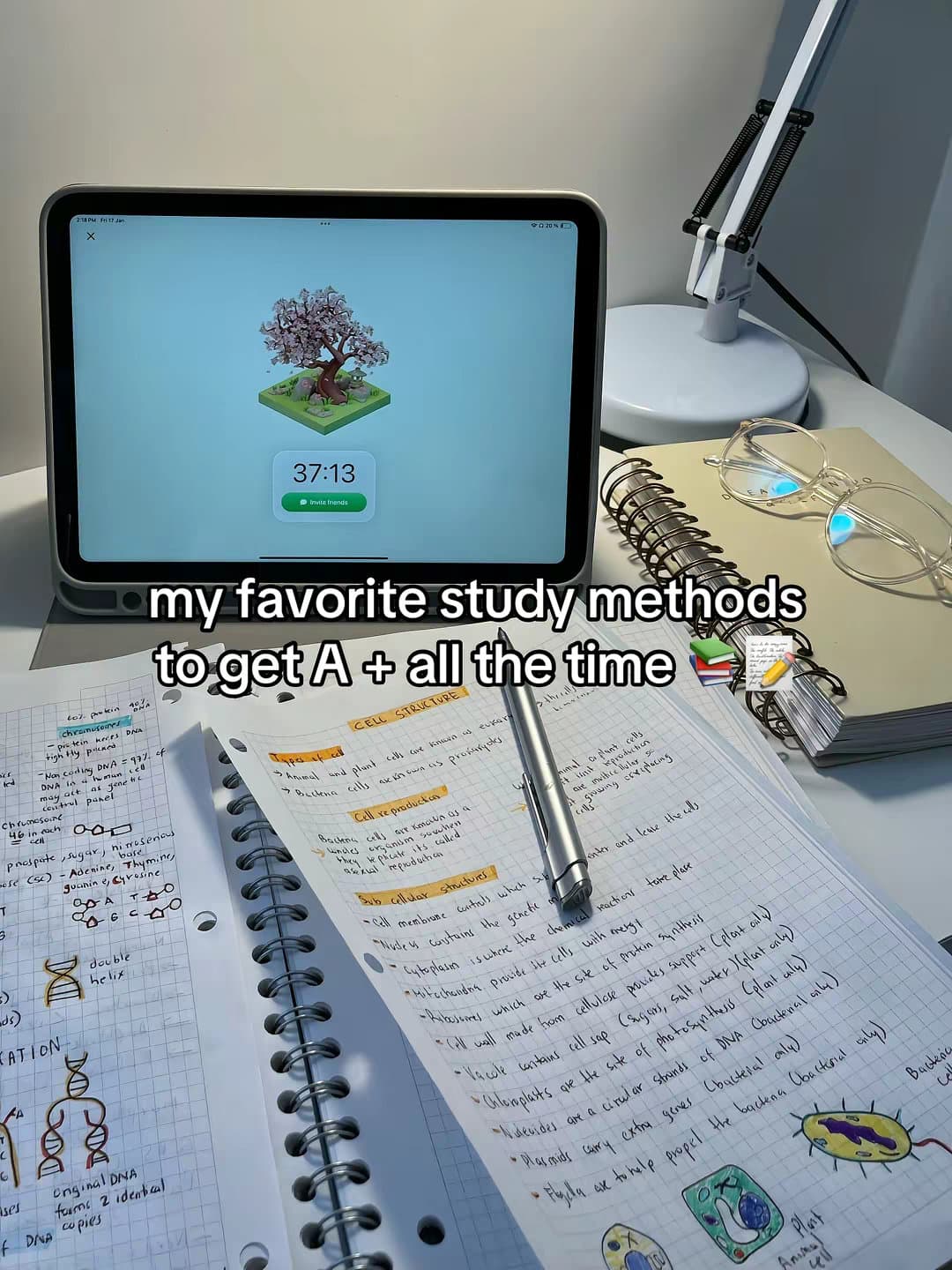 my favorite study methods to get A + all the time