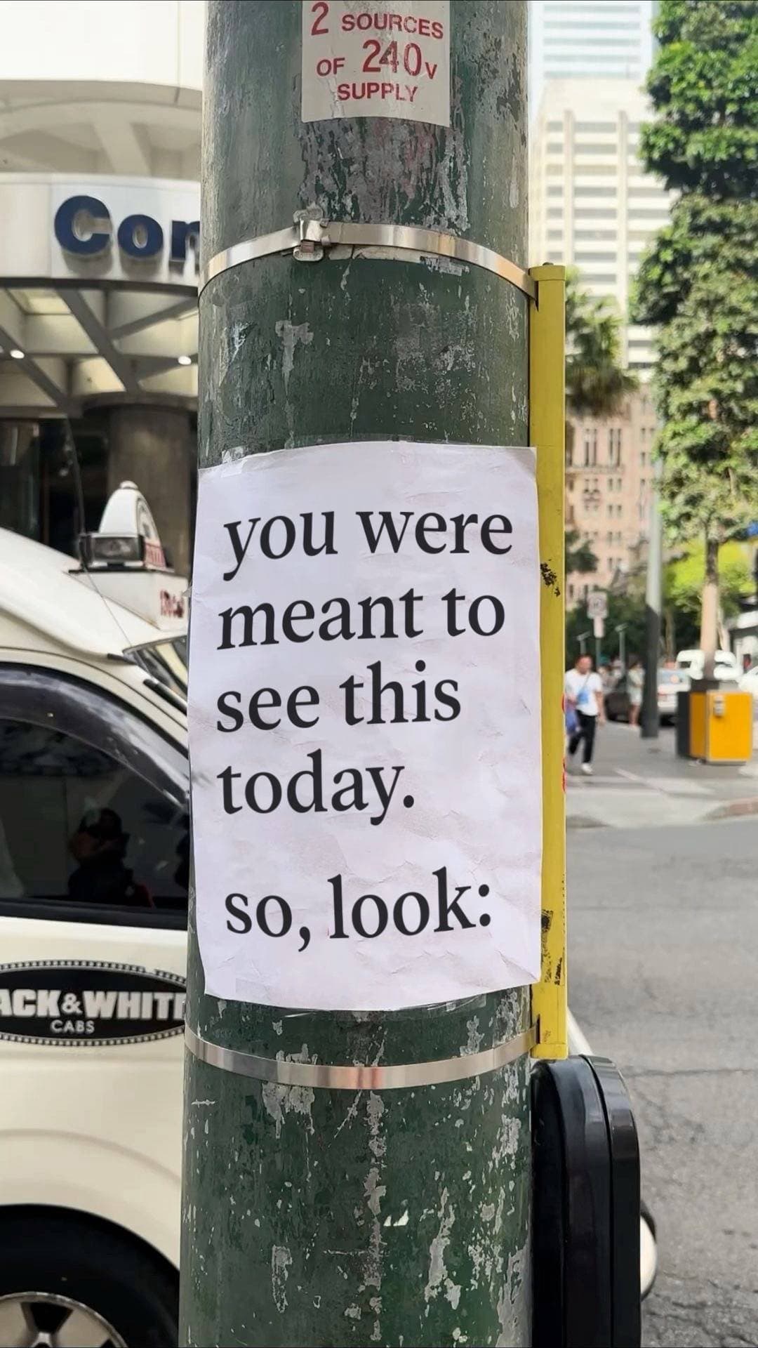 you were
meant to
see this
today.

so, look: