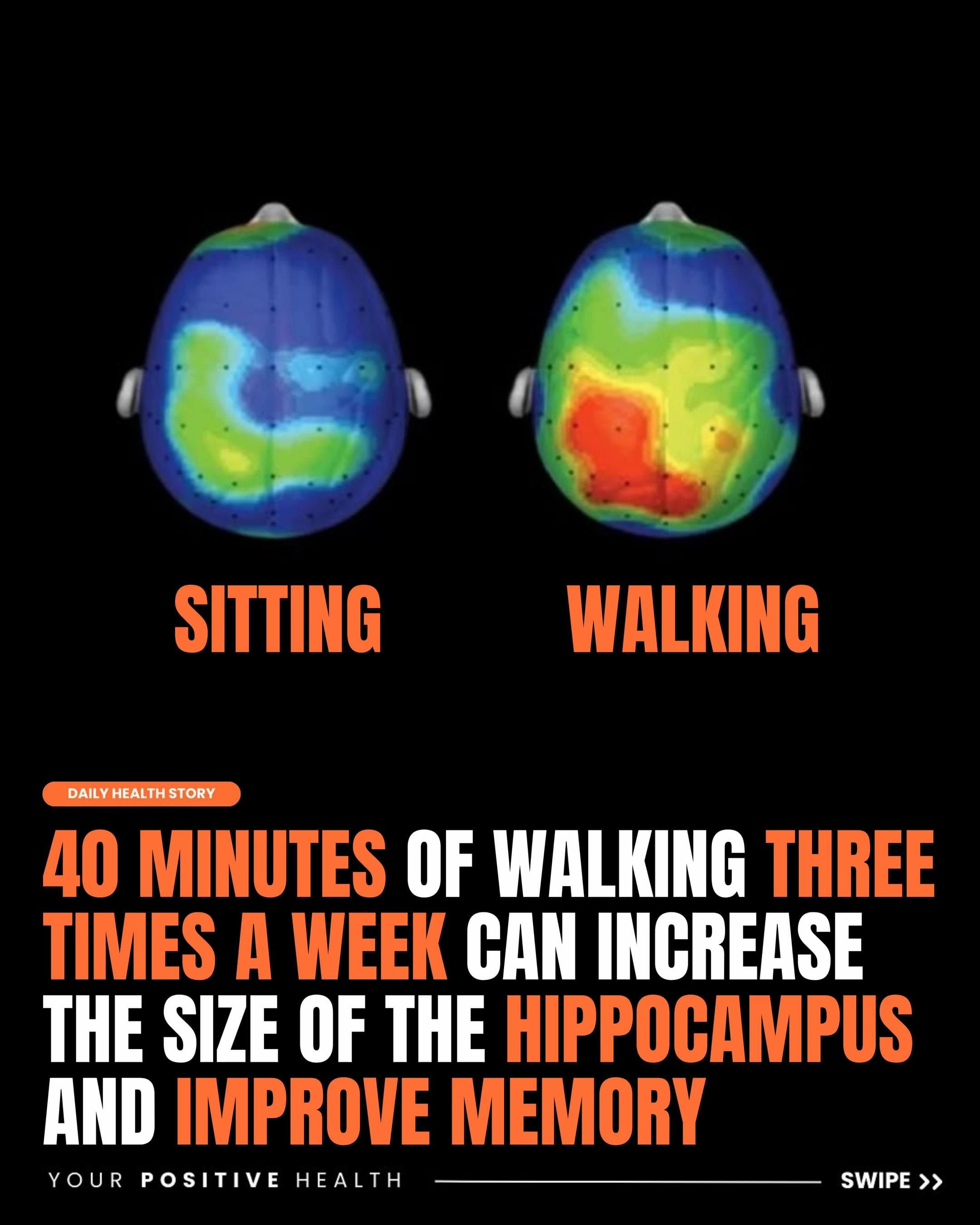 SITTING and WALKING
DAILY HEALTH STORY
40 MINUTES OF WALKING THREE
TIMES A WEEK …
