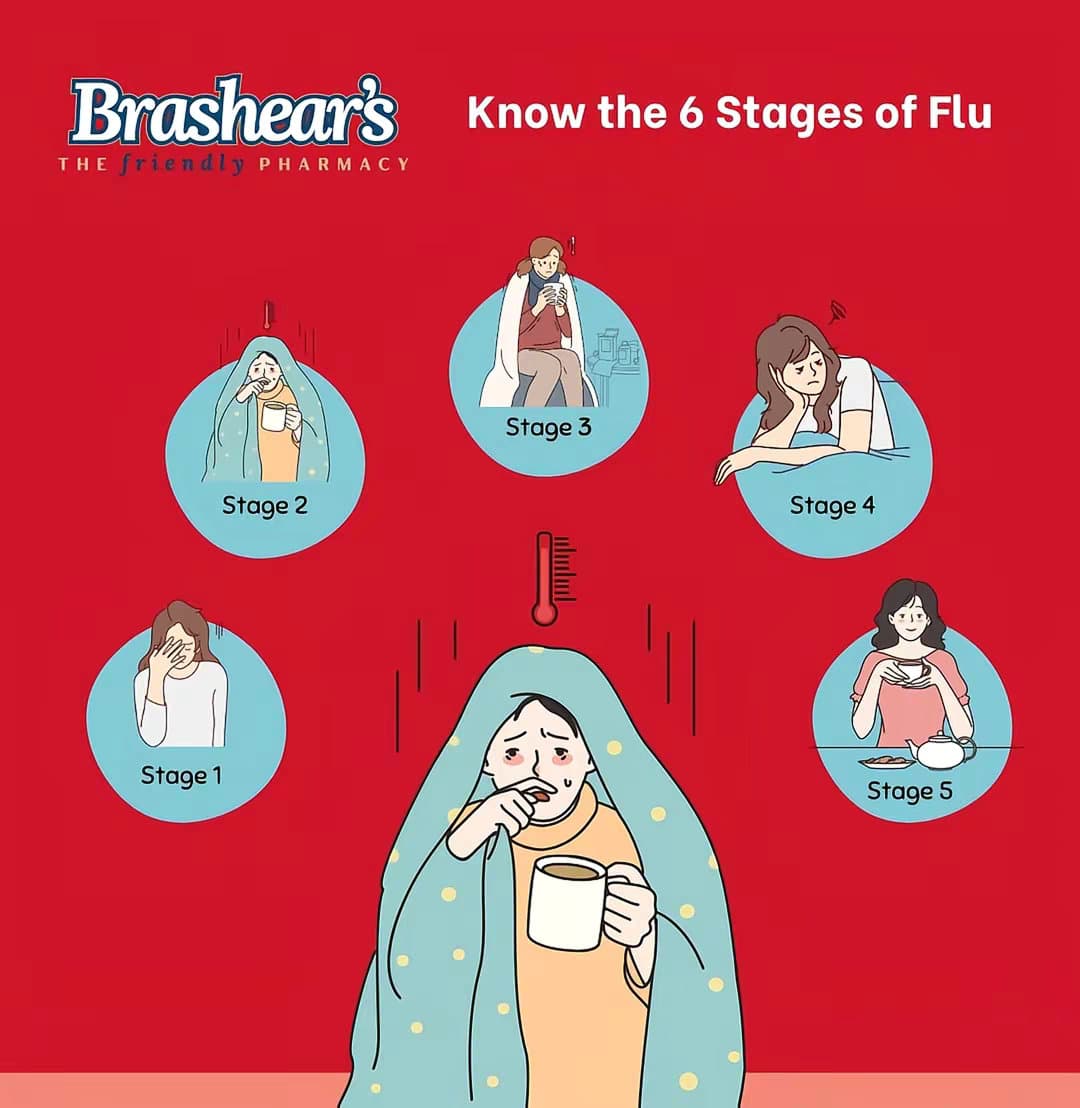 Brashear's THE FRIENDLY PHARMACY Know the 6 Stages of Flu
Stage 1 Stage 2 Stage …