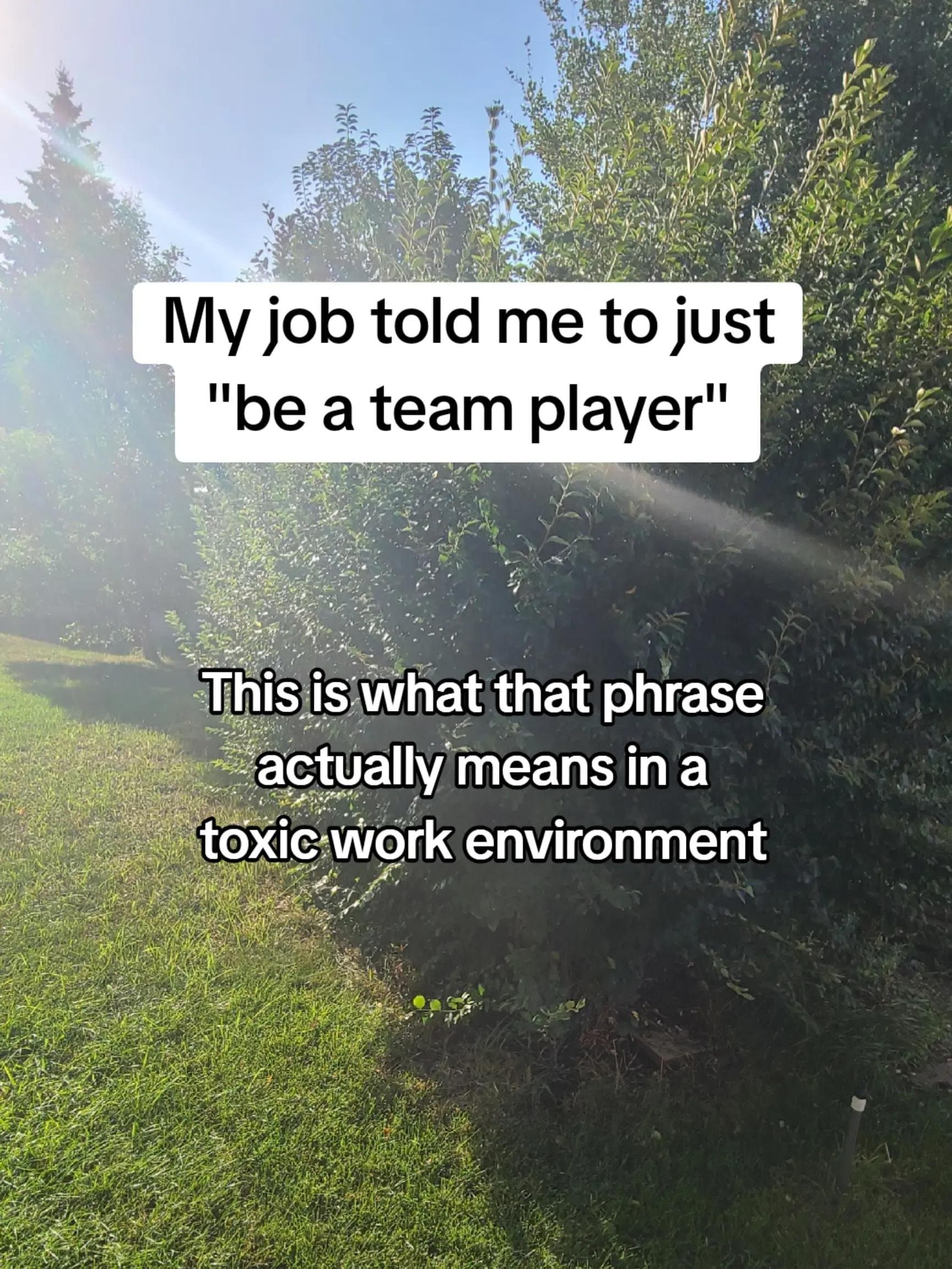 My job told me to just
"be a team player"
This is what that phrase
actually mea…