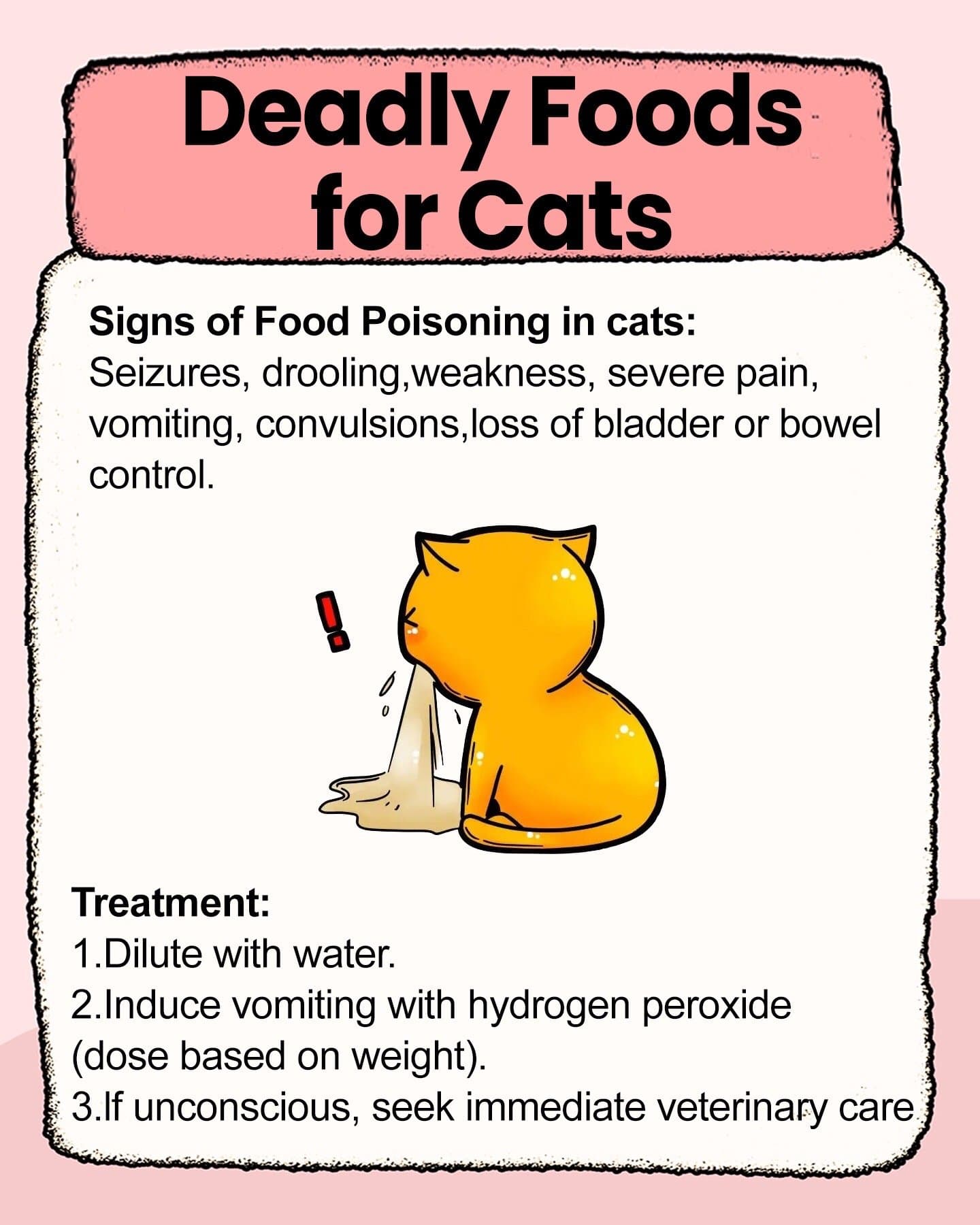 Deadly Foods
for Cats
Signs of Food Poisoning in cats:
Seizures, drooling, weakβ¦