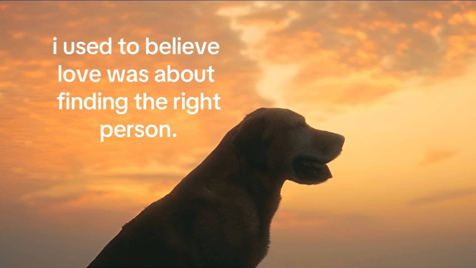 i used to believe
love was about
finding the right
person.