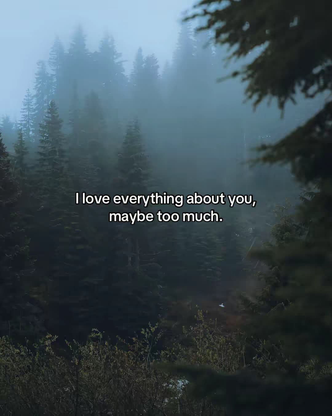 I love everything about you, maybe too much.
