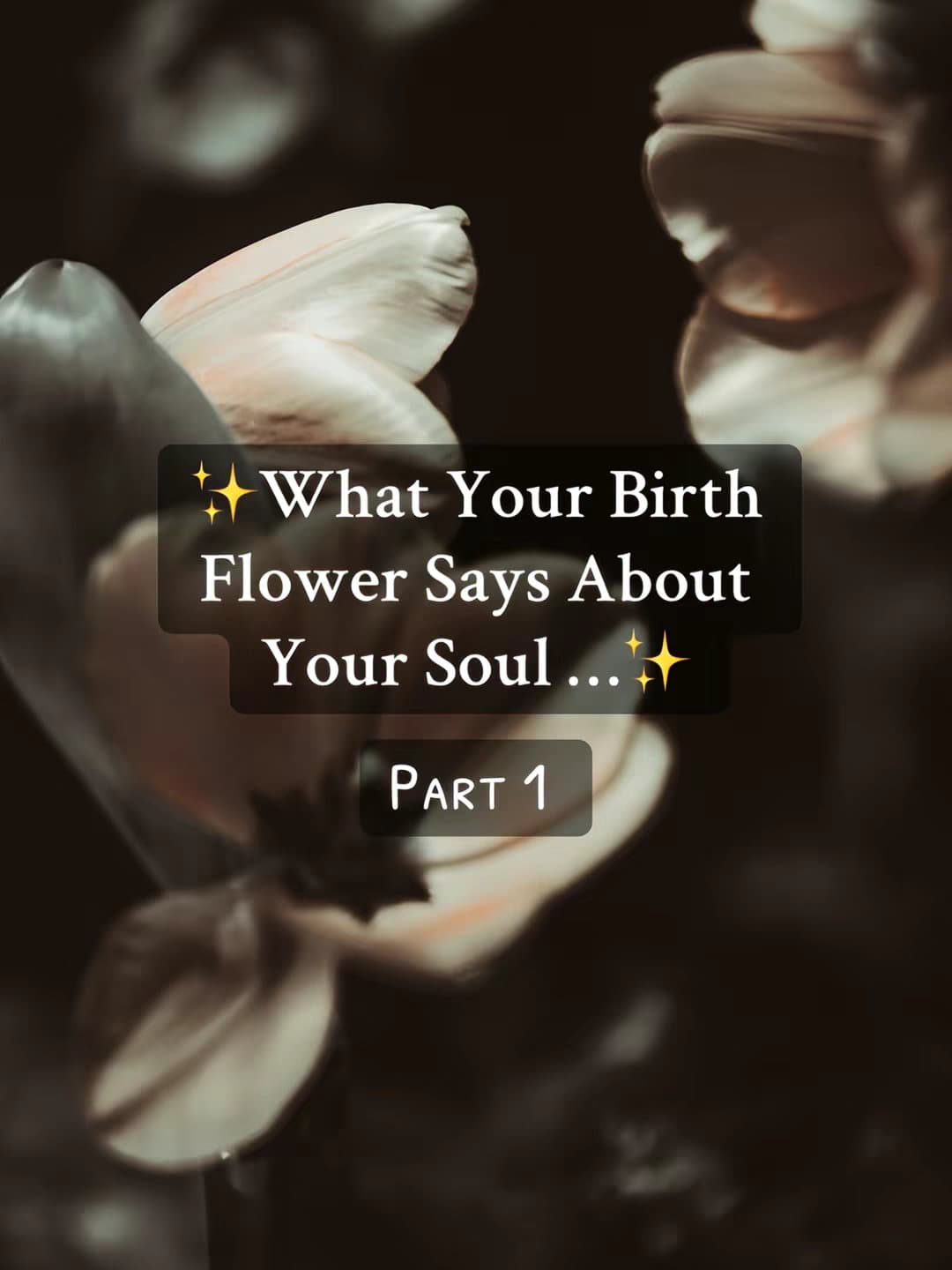 ✨What Your Birth
Flower Says About
Your Soul...✨
Part 1