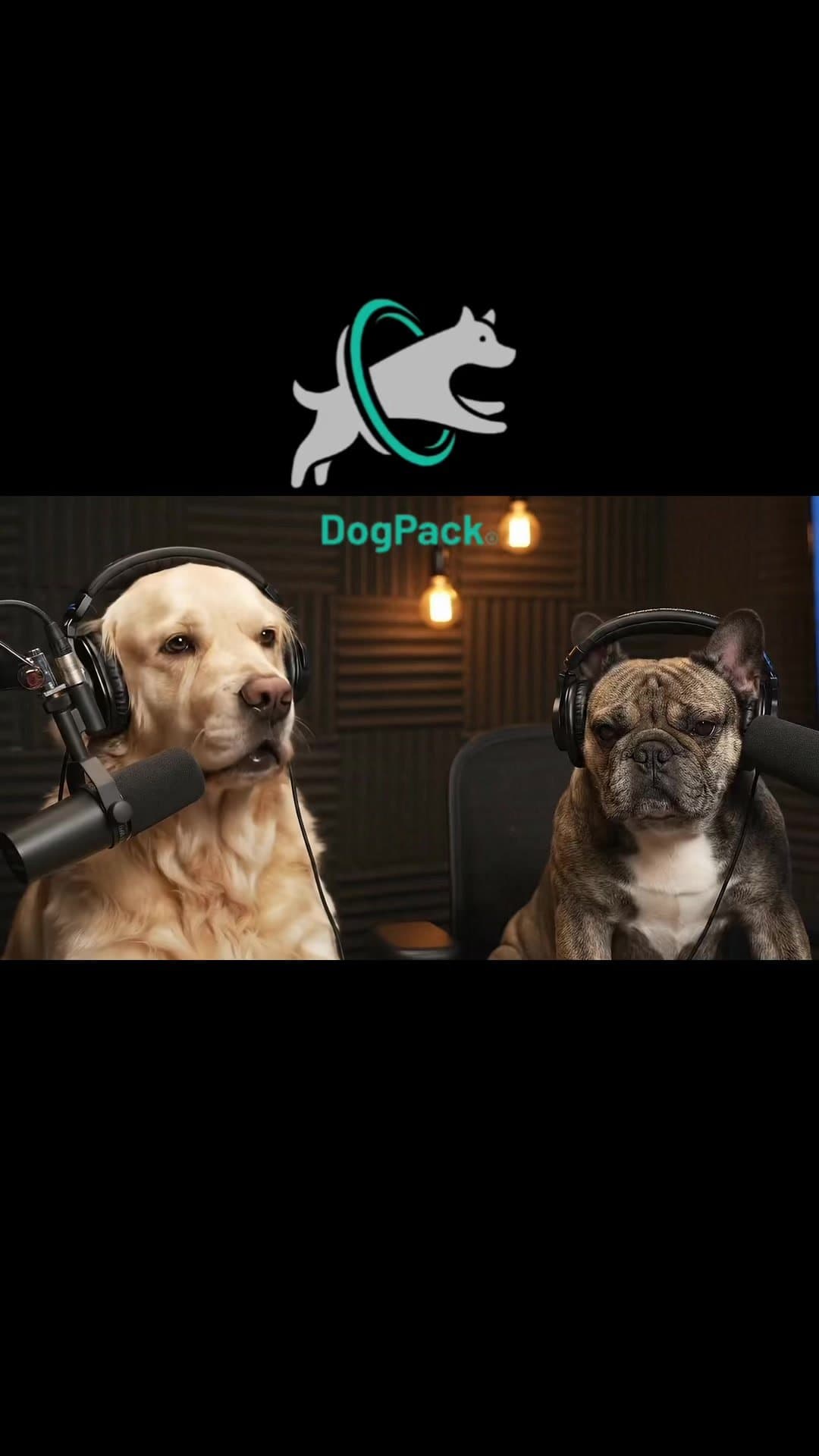 SHE SAID SHE'S
GETTING ME A
TRAINER TO WORK
ON MY OBEDIENCE DUDE
SHE'S THE ONE …