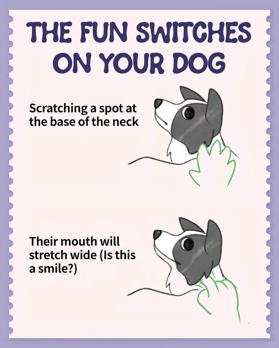 THE FUN SWITCHES ON YOUR DOG
Scratching a spot at the base of the neck
Their mou…