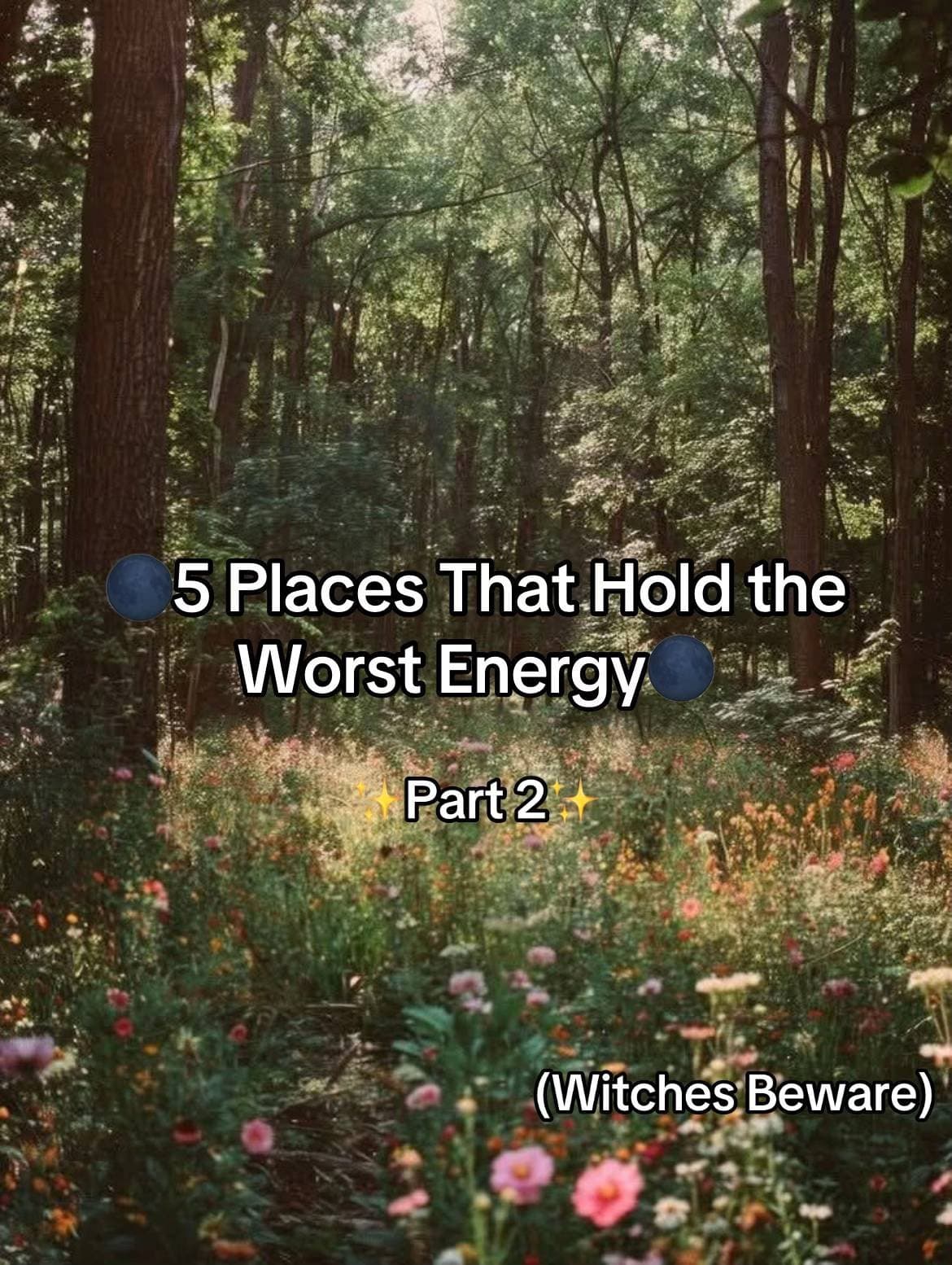 🌑 5 Places That Hold the
Worst Energy 🌑
✨ Part 2 ✨
(Witches Beware)