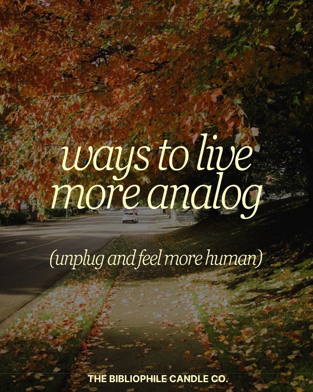 ways to live
more analog
(unplug and feel more human)
THE BIBLIOPHILE CANDLE …