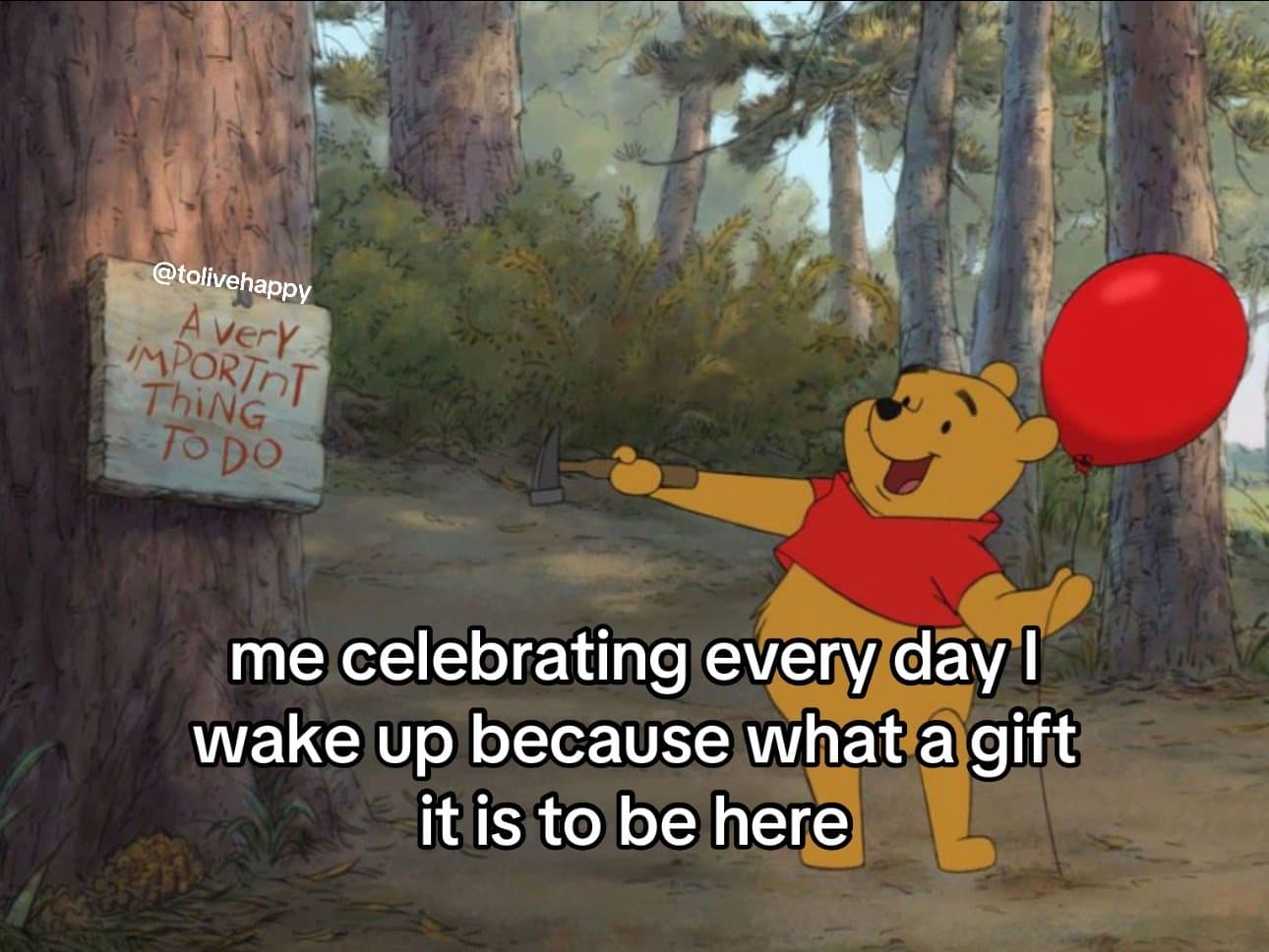 me celebrating every day I
wake up because what a gift
it is to be here