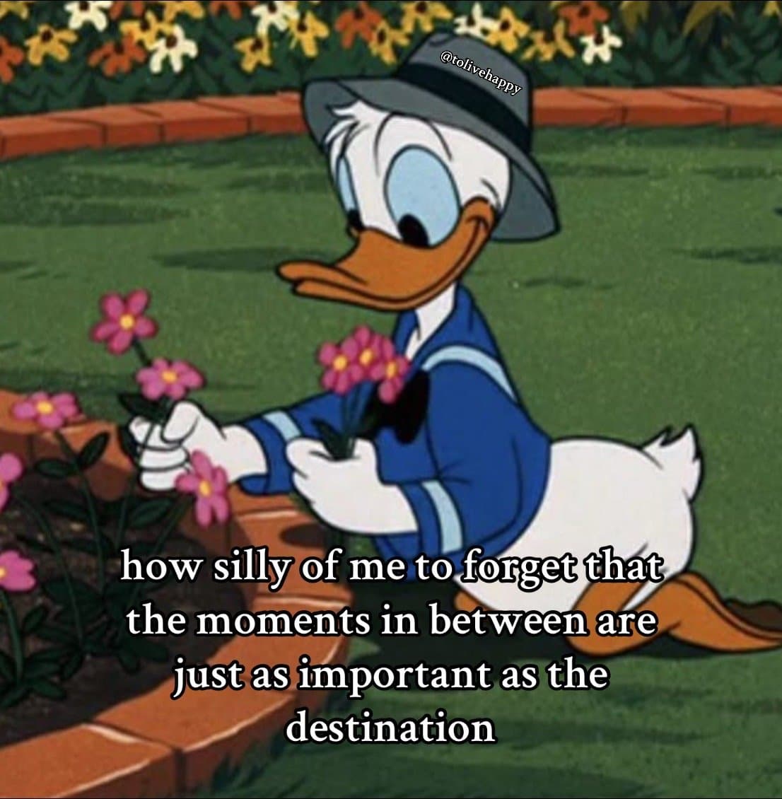 how silly of me to forget that
the moments in between are
just as important as t…